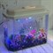 Аквариум Aqua Glo панорама на 15л. день/ночь с рыбками тернеция GloFish - фото 30326