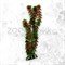 Пластиковое растение Plant 03330 Кабомба красная 30см - фото 30344