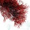 Пластиковое растение Plant 03230 Горгонария красная 30см - фото 30347