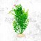 Растения MIX AР 20 см, 10 шт в ассортименте - фото 30385
