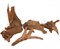 Коряга мангровая NATURAL 103, размер XL 58-66 см - фото 30425