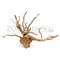 VladOx Коряга Паучий корень Slim Wood 10-30 см (цена за кг) - фото 31778