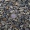 Галька морская черное море 0.5-1.3 см. для террариума и аквариума - фото 31978