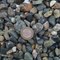 Галька речная круглая 1-3 см. для террариума и аквариума - фото 31982