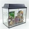 Аквариум Aqua прямоугольник 25 л. полный комплект - фото 32279 Аквариум Aqua прямоугольник 25 л. полный комплект - фото 32279