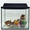 Аквариум Aqua прямоугольник 35 л. полный комплект - фото 32305