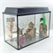 Аквариум Aqua прямоугольник 50 л. полный комплект - фото 32311