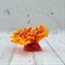 Коралл корона оранж акрил Кр-221 - фото 32477