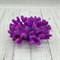 Коралл брокколи фиолетовый Кр-1532 - фото 32487