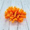 Коралл брокколи оранжевый Кр-1521 - фото 32499
