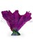 Коралл веер фиолетовый Кр-1432 - фото 32521 Коралл веер фиолетовый Кр-1432 - фото 32521