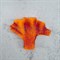 Коралл веер оранж акрил Кр-521 - фото 32803