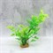 Набор из четырех искусственных растений (7,5 см, 10 см, 15 см, 22 см) YS-70303 - фото 33437
