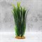 Набор из пяти искусственных растений (1-15 см, 2-20 см, 1-30 см, 1-35 см.) YS-70203 - фото 33468