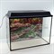 Аквариум Aqua Прямоугольник на 120 л. с оборудованием - фото 34127