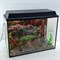 Аквариум Aqua Прямоугольник на 120 л. с оборудованием и декором - фото 34138 Аквариум Aqua Прямоугольник на 120 л. с оборудованием и декором - фото 34138