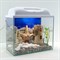 Аквариум AquaGold Прямоугольник на 25 л. с оборудованием и декором - фото 34338