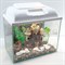 Аквариум AquaGold Прямоугольник на 60 л. с оборудованием и декором - фото 34594