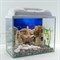 Аквариум AquaGold Прямоугольник на 25 л. с оборудованием и декором - фото 34735