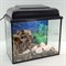 Аквариум AquaGold Прямоугольник на 20 л. с оборудованием и декором 2 - фото 34755