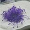 Декор из силикона Коралл фиолетовый мягкий (7.5x7.5x10) - фото 35259