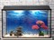 Аквариум прямоугольник Aqua с оборудованием на 75 л. - фото 35596