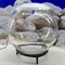 Аквариум шаровидный на подставке 24 л c Led светильником - фото 36566