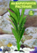 Шелковое растение для аквариума (30 см) Silver Berg №531 - фото 36718