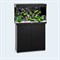 Аквариум укомплектованный Juwel Rio 125 LED черный 81x36x50 см. - фото 37317 Аквариум укомплектованный Juwel Rio 125 LED черный 81x36x50 см. - фото 37317