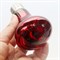 Лампа инфракрасная Nomoy Pet Infrared heating lamp 7х10см 220В E27 50Вт - фото 38740