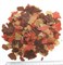 TETRA Goldfish Colour Flakes 250ml/52g - фото 44110