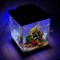 Аквариум Куб Aqua Glo на 30л. день/ночь с рыбками данио GloFish Reff - фото 45385