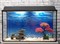 Аквариум прямоугольник Aqua с тумбой на 75 л. (беленый дуб) - фото 45645