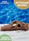 Декорация для аквариума из керамики Коряга ZooAqua, 10x25 см купить в Минске