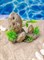 Декорация для аквариума и террариума Камни с растениями ZooAqua 14х7х12 см купить с доставкой