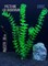 Купить Искусственное растение для аквариума и террариума ZooAqua S1207, 30 см