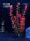 Купить Искусственное растение для аквариума и террариума ZooAqua S1203, 30 см