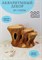 Купить Декорация для аквариума из керамики Пень ZooAqua, 17x12 см