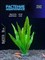 Купить Искусственное растение для аквариума ZooAqua, керамика и пластик, 18x4x3 см