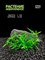 Купить Искусственное растение для аквариума ZooAqua S227, 2.5x5 см, керамика, пластик