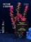 Искусственное растение для аквариума ZooAqua S1203, 30 см, керамика, пластик купить с доставкой