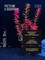 Искусственное растение для аквариума ZooAqua S1203, 30 см, керамика, пластик