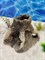 Керамический декор для аквариума Коряга ZooAqua №226 12.5x14 см, глина Керамический декор для аквариума Коряга ZooAqua №226 12.5x14 см, глина