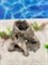 Керамический декор для аквариума Коряга ZooAqua №226 12.5x14 см, глина Керамический декор для аквариума Коряга ZooAqua №226 12.5x14 см, глина
