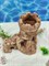 Декорация для аквариума Замок №101 ZooAqua, 15х16.5 см, керамика, глина Декорация для аквариума Замок №101 ZooAqua, 15х16.5 см, керамика, глина