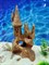 Декорация для аквариума и террариума ZooAqua Замок 21x11 см, керамика, глина Декорация для аквариума и террариума ZooAqua Замок 21x11 см, керамика, глина