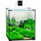 Аквариум кубический Biodesign Q-Scape 30, 30 л, 31×31×35 см, силикатное стекло Pilkington Optifloat, 4 мм купить в Минске