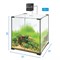 Аквариум кубический Biodesign Q-Scape 30, 30 л, 31×31×35 см, силикатное стекло Pilkington Optifloat, 4 мм