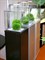 Аквариум Biodesign Q-Scape Opti 35, 35 л, 33×33×38 см, стекло Pilkington Optiwhite™, 4 мм