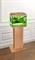 Аквариум Biodesign Классик 20, силикатное стекло Pilkington Optifloat™, 4 мм, 22 л, 40х22х33 см, LED светильник, бук купить с доставкой